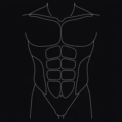 Six-zone abdominal analysis map